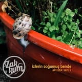 Bütün Şarkılar Biter (Akustik)