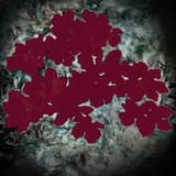 Slender Is the Throat