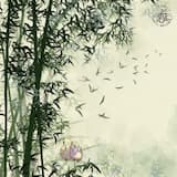 Flow of the Ancients