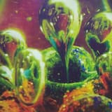 (wanted to) so i went there with you