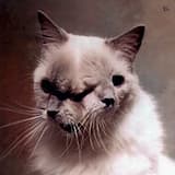 Menschen im Null-Raum