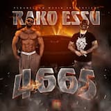 Die Geister die ich rief