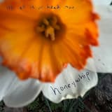 It’s All in Ur Head Man