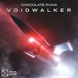 Voidwalker (extended mix)