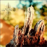 1000 Miles From Everywhere