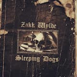 Sleeping Dogs
