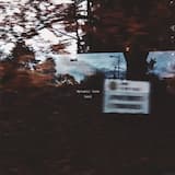 I'd Even Let You Kill Me