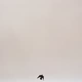 Don't You Know by Now