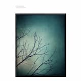 Light Dispersed Through Clouds