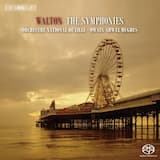 Symphony no. 1: I. Allegro assai