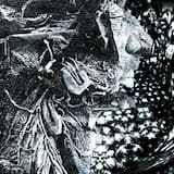 Tangled Paths (Hypnagogic)