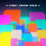 Street Dragon Ninja