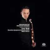 Concerto for Violin, op. 67: II. Allegretto