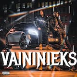 Vaininieks