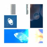 セイカンユウギョ