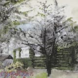 I Listed All of the Velvet Lessons