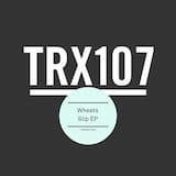 Dip My Head In (extended mix)