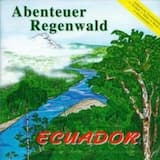 An einer Waldlichtung