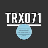 Lost in the Woods (original mix)