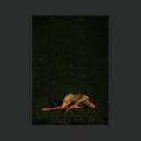 Wolf (Boys Noize remix)