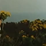 家ではありませんFARAWAY PLACE