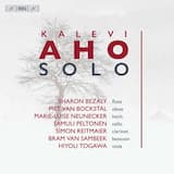 Solo IV