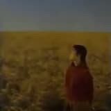 一緒に水平線を見つめます