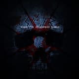 When the Stillness Comes