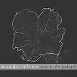 the complicated futility of i