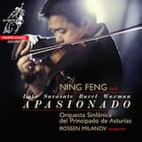 Zigeunerweisen, op. 20