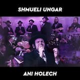 Ani Holech