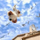 Taïssia (instrumental)