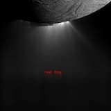 The Plaster Figures Have Lost Their Shadows