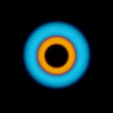 Book Of Pointless Endurance