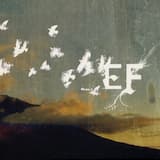 He Came, He Stayed, He Fell