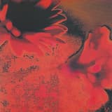 Eingang Durch das Portal (Der Nachtportier)