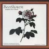 Symphony no. 9 in D minor, op. 125, “Choral”: I. Allegro ma non troppo, un poco maestoso