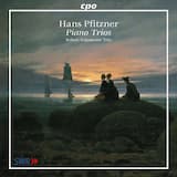 Piano Trio in F Major, Op. 8: I. Kräftig und feurig, nicht zu schnell