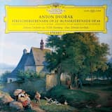 Streicherserenade E-dur op. 22: I. Moderato