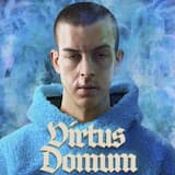 Virtus Domum