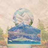 There’s Nothing Wrong With Having a Tree As a Friend