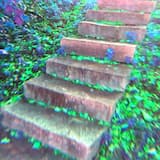 ビジョンログ: S T A I R W A Y