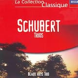 Trio en si bémol majeur, op. 99 (D. 898): I. Allegro moderato