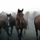 2am in tarragona (wytwäg)- Sunnti Freestyle