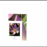 Oskaréhs Waldtaubenspatziergang