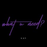 what U need?
