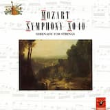 Symphony no. 40 in G minor: 1st Movement Molto allegro