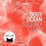 Squeaky Clean