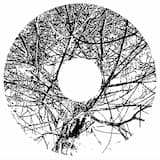 In All Due Deference