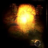 Can You Hear Me Calling